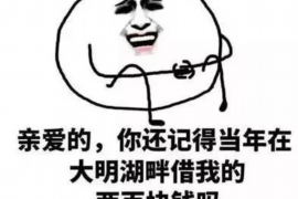 荆州为什么选择专业追讨公司来处理您的债务纠纷？